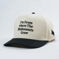 Texas Love ‘Bluebonnet’ Snapback image 0